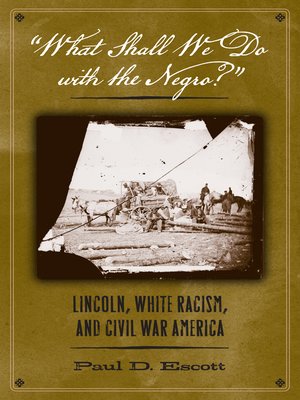 cover image of "What Shall We Do with the Negro?"